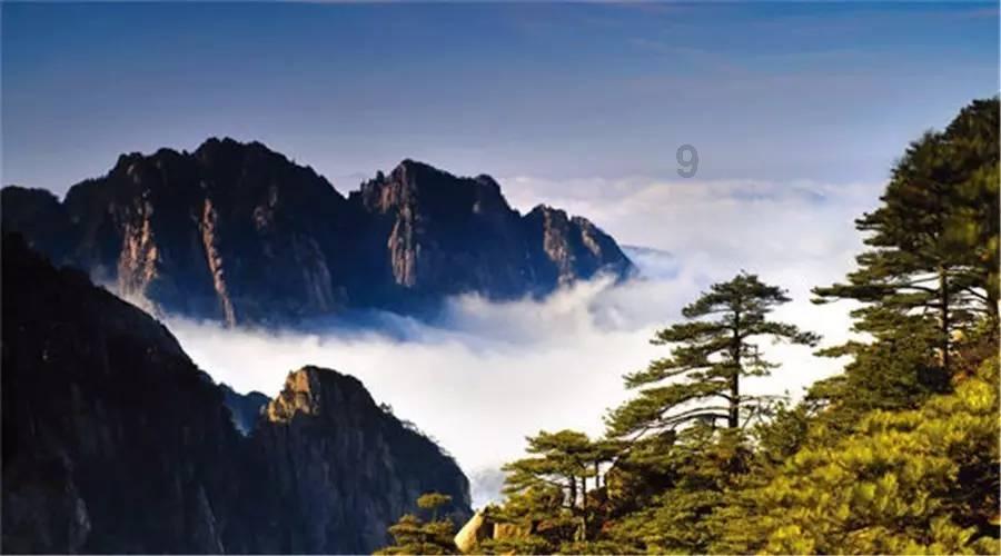 接下来七周好运环绕，他们的财富飞速增长，各种意外之财迎面而来