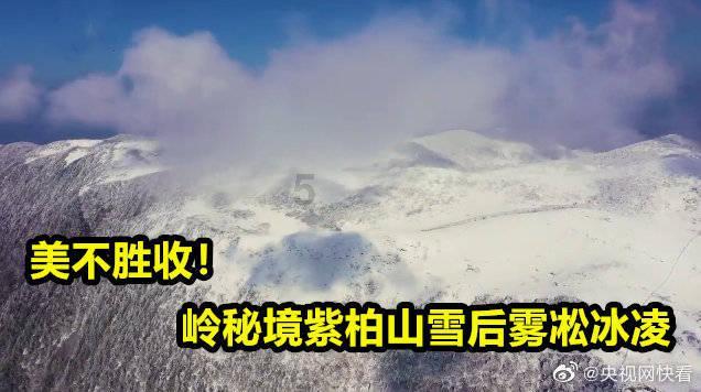 嘉日单词