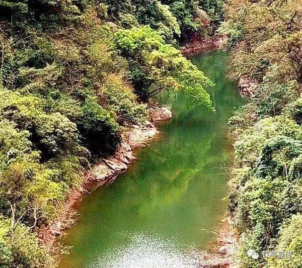“烟粮连丰”桥自弯